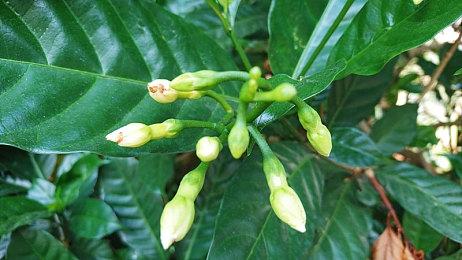 清凉服装大放送！《守望先锋2》18赛季通行证皮肤亮相